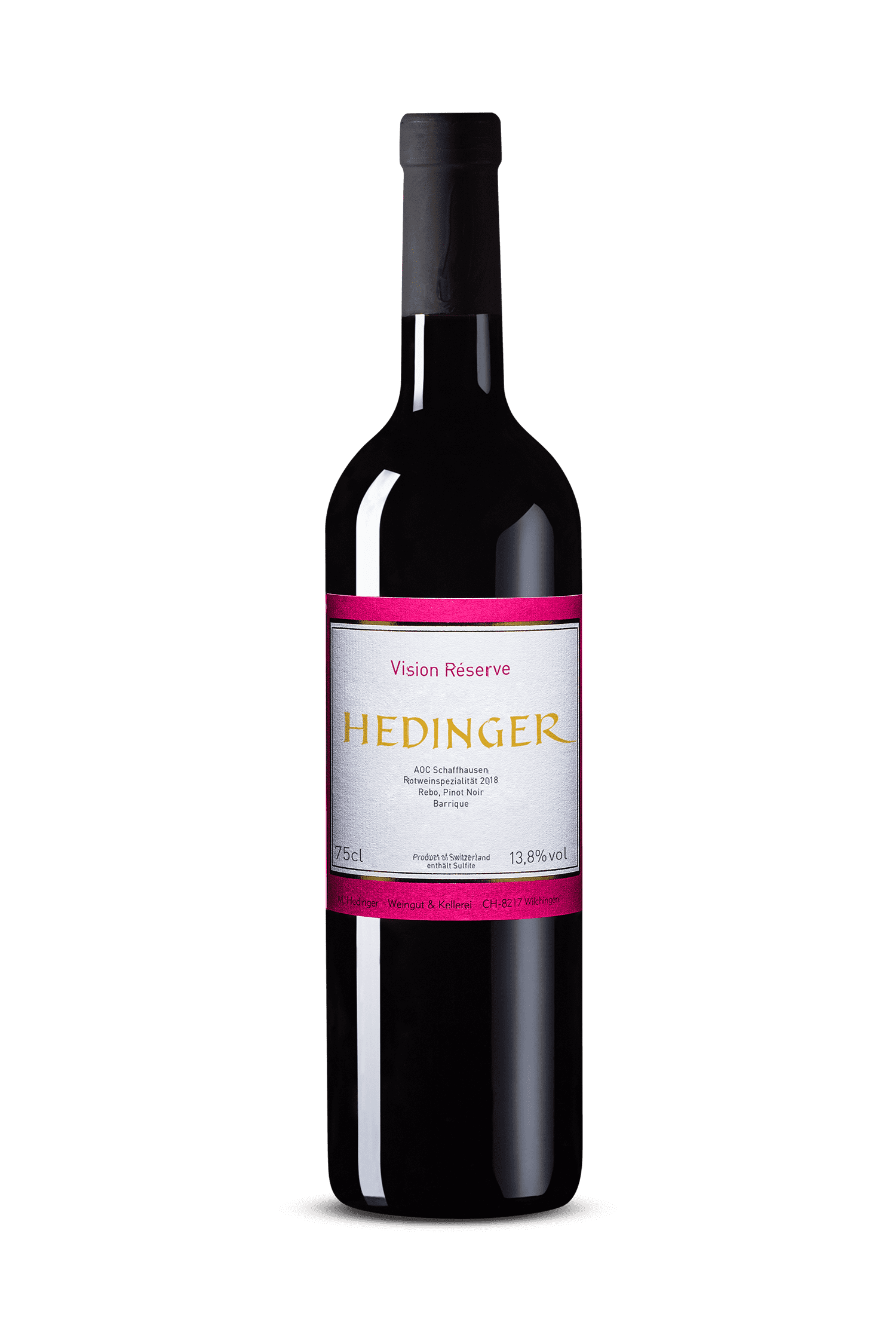 Hedinger_Vision